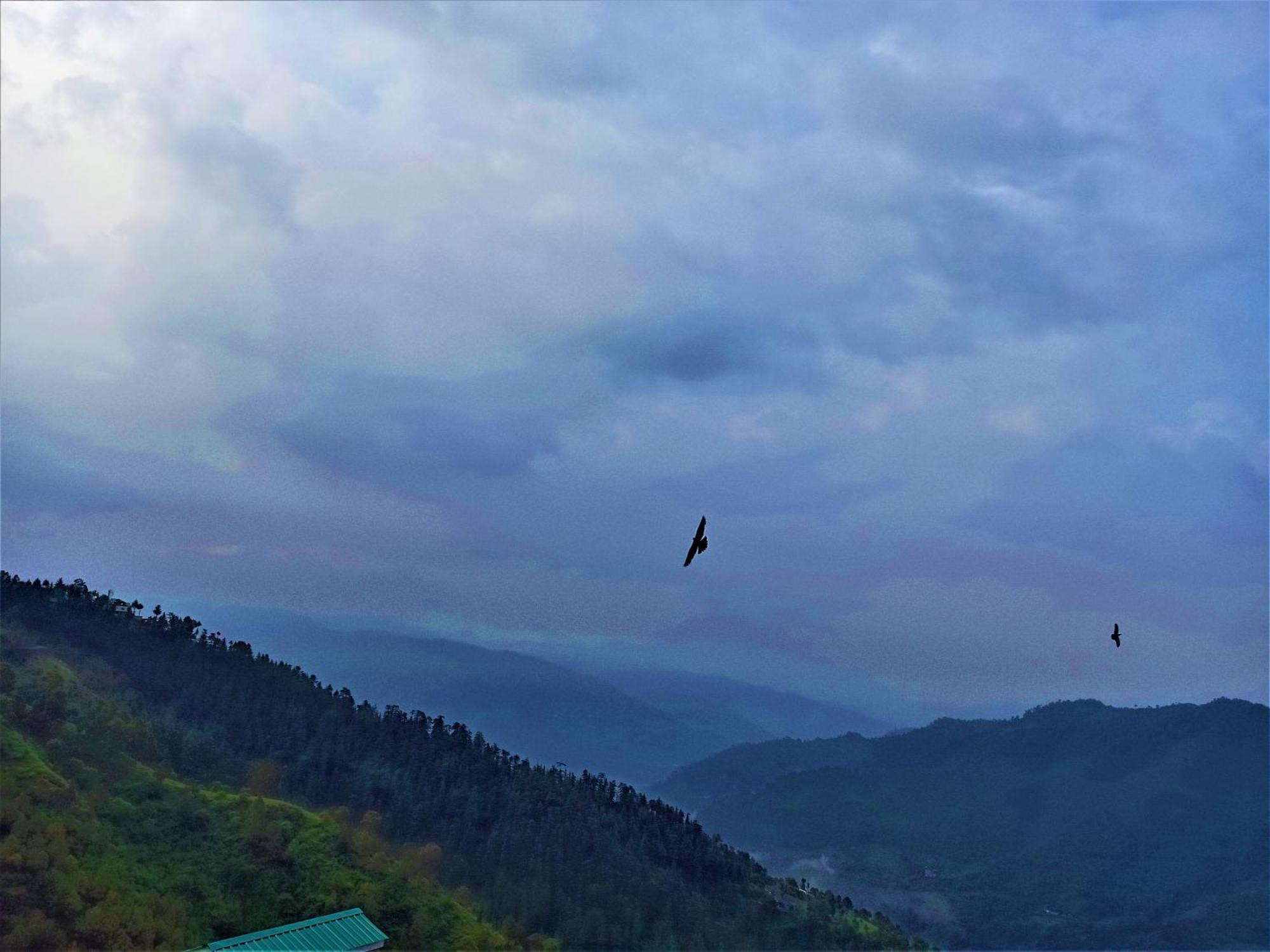 Appartamento Mountain And Peace Shimla Esterno foto